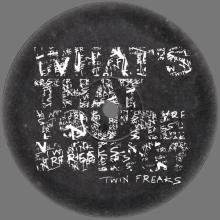 UK 2005 06 14 TWIN FREAKS - GRAZE 011 - 58484 ⁄ A - 58484 ⁄ B - RINSE THE RAINDROPS ⁄ WHAT'S THAT YOU'RE DOING - 12INCH PROMO - pic 1