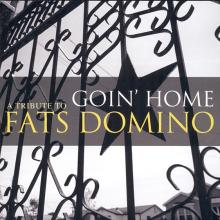 2007 09 25 UK⁄EU Goin' Home-A Tribute To Fats Domino - I Want To Walk You Home ⁄ 50999 508051 2 9 - pic 7