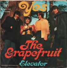 THE GRAPEFRUIT - YES ⁄ ELEVATOR - 45-15054 - GERMANY - pic 2