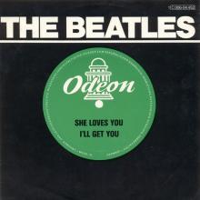SHE LOVES YOU - I'LL GET YOU - 1976 / 1987 - 1C 006-04 452 - 1 - SLEEVES    - pic 1