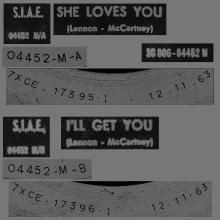THE GREATEST STORY - SHE LOVES YOU ⁄ I'LL GET YOU - 3C 006-04452 - BLACK LABEL - A - pic 2