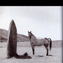 pm 31 b Standing Stone / Holland - pic 1